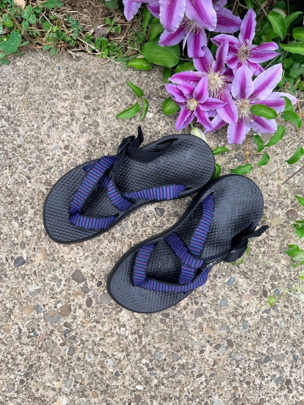 Chaco blue/Purple/Black waterproof Striped Straps Sz. 7